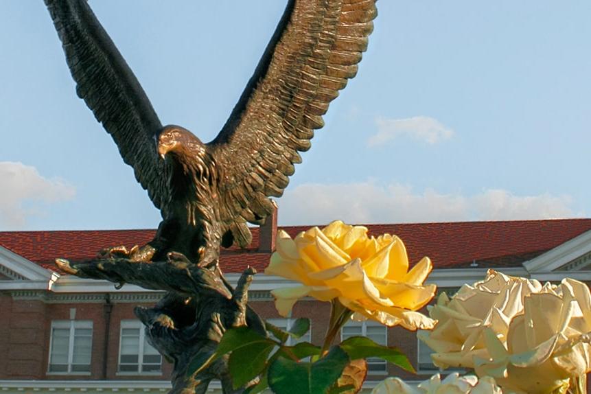 老鹰雕像前的玫瑰